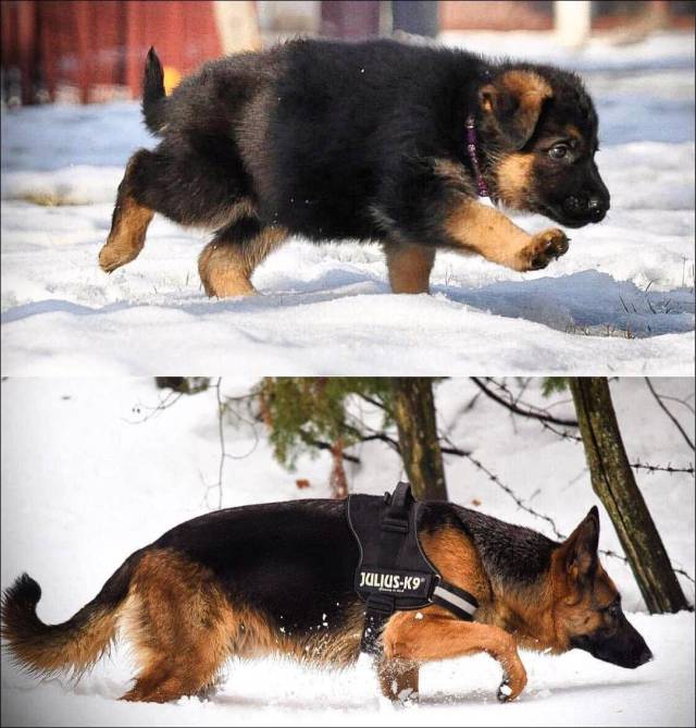 Daily Picdump
