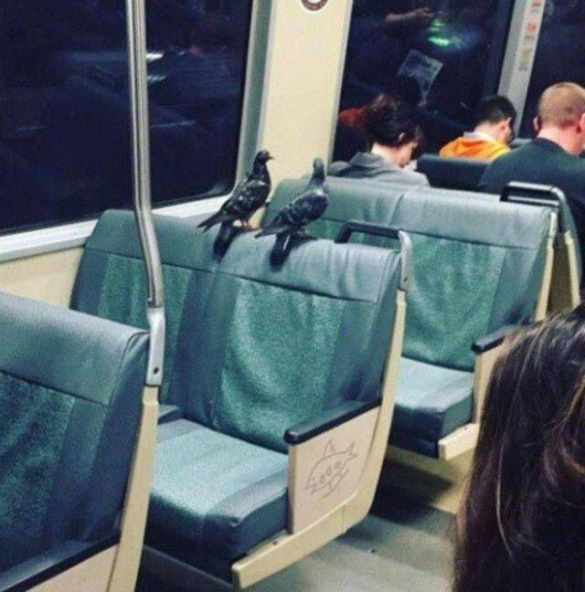 daily picdump 94 pics 39.html - 94 HD Photos | Premium Gallery 2018