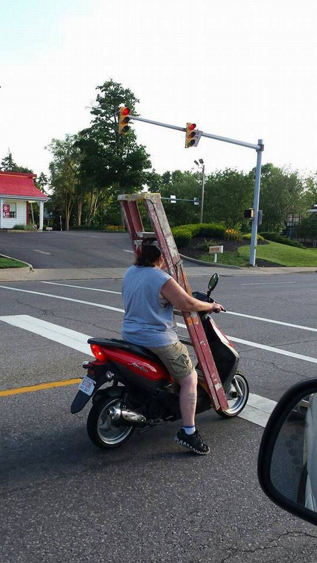 daily picdump 94 pics 39.html - 94 HD Photos | Premium Gallery 2018