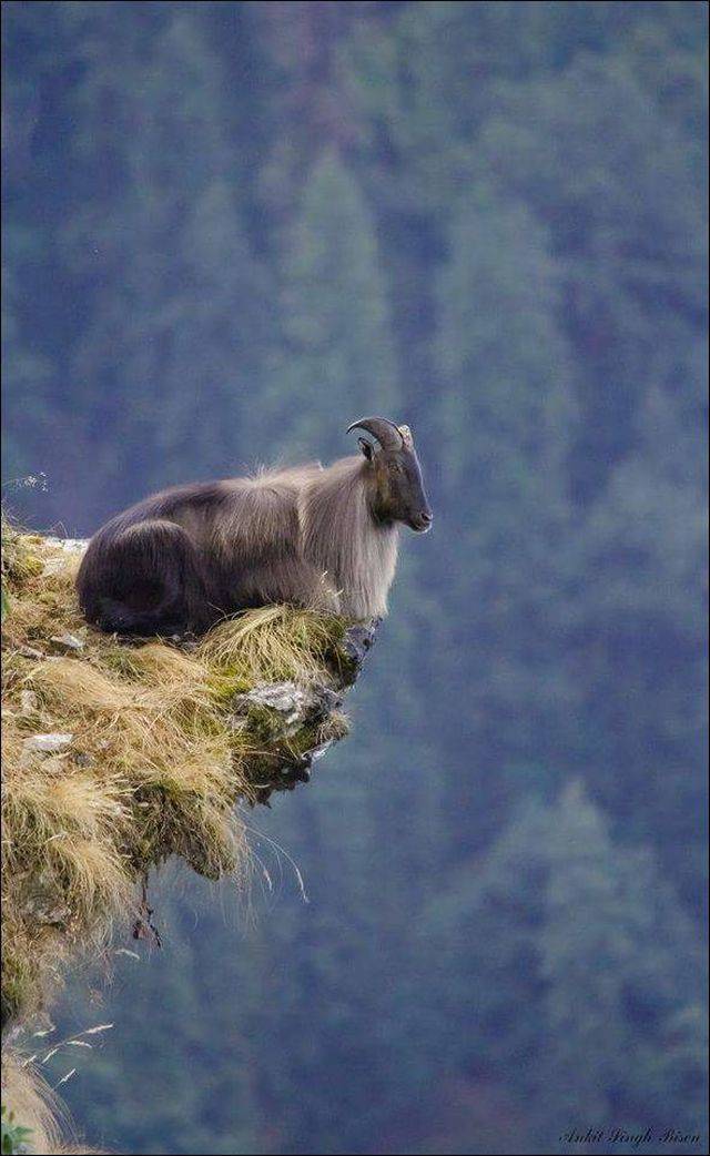 daily picdump 94 pics 39.html - 94 HD Photos | Premium Gallery 2018