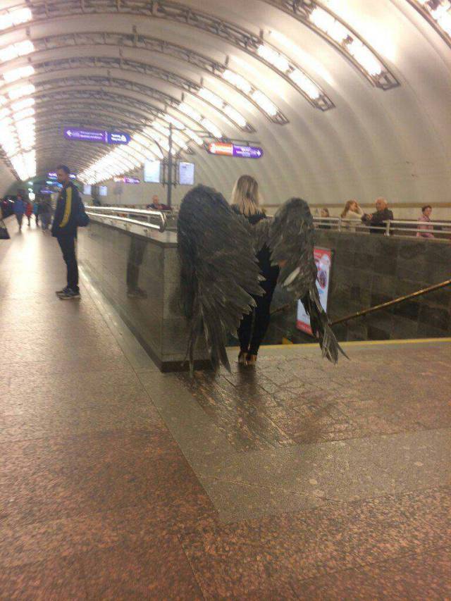 daily picdump 94 pics 39.html - 94 HD Photos | Premium Gallery 2018