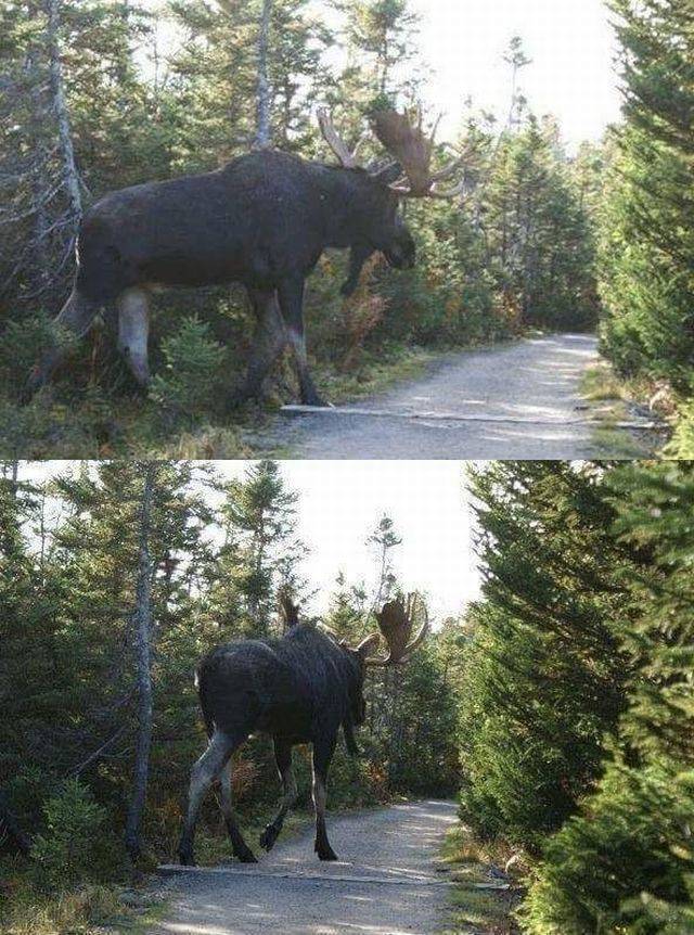 daily picdump 94 pics 39.html - 94 HD Photos | Premium Gallery 2018