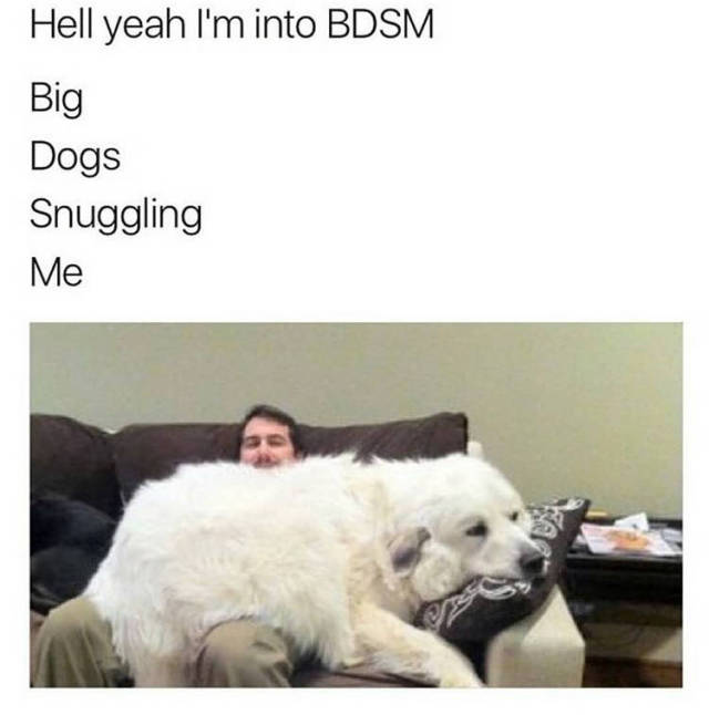 Memes to Amuse Your Tired Mind