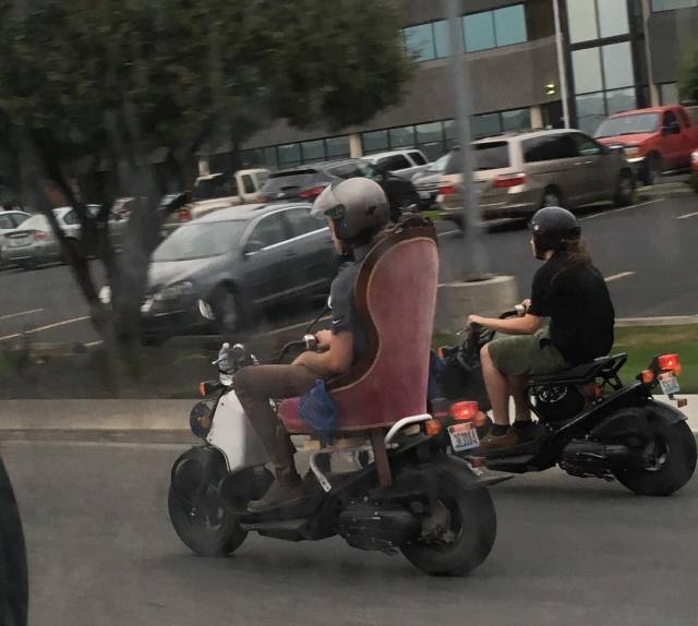 Morning Picdump
