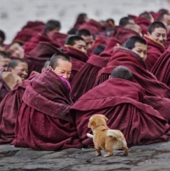 Morning Picdump