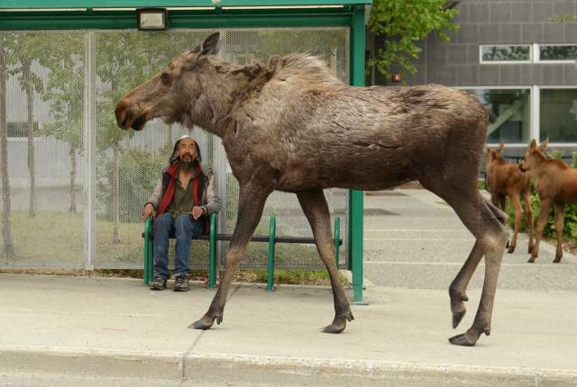 Morning Picdump