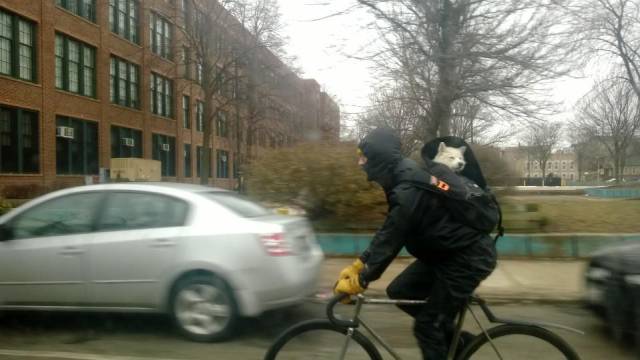 Morning Picdump
