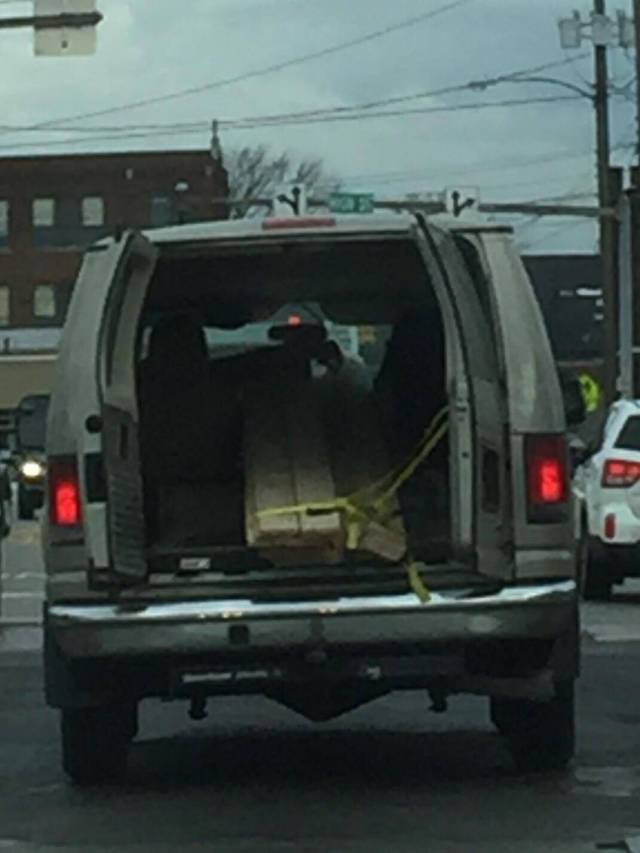 Morning Picdump