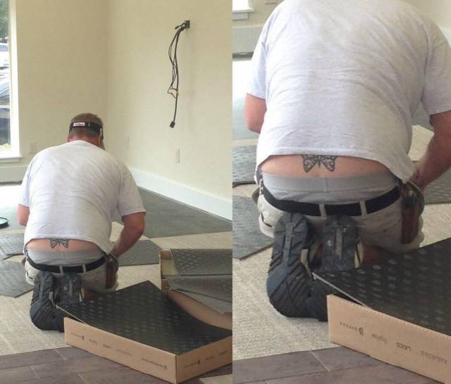 Daily Picdump