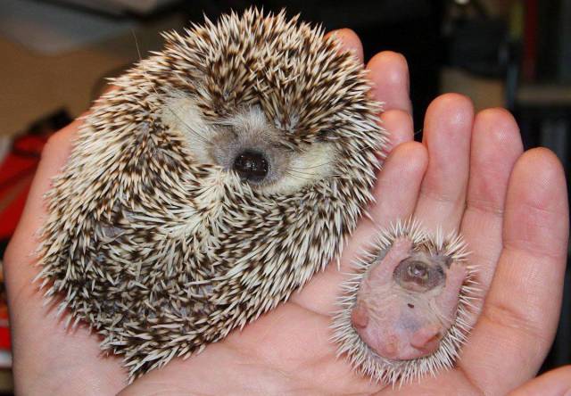 daily picdump 94 pics 39.html - 94 HD Photos | Premium Gallery 2018