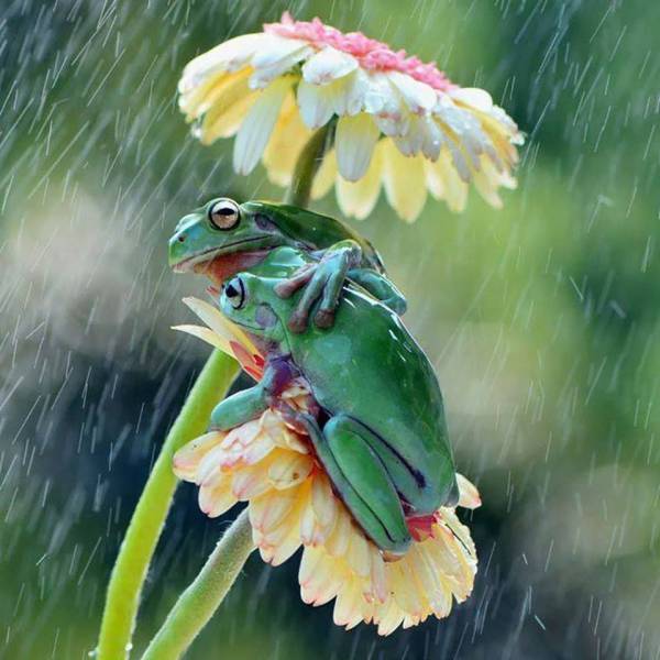 daily picdump 94 pics 39.html - 94 HD Photos | Premium Gallery 2018