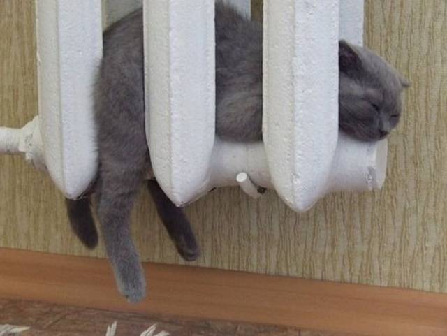 daily picdump 94 pics 39.html - 94 HD Photos | Premium Gallery 2018