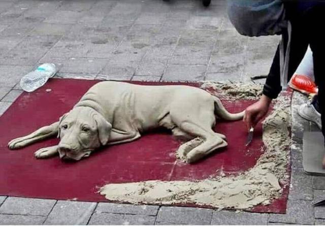 daily picdump 94 pics 39.html - 94 HD Photos | Premium Gallery 2018