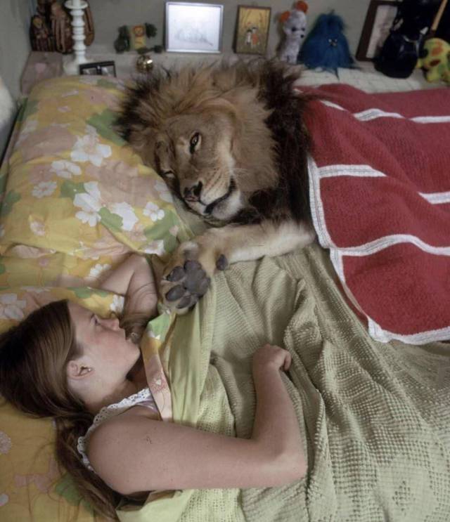 Daily Picdump