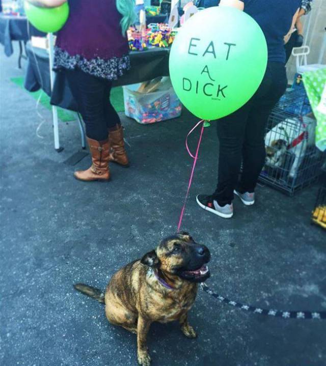 Daily Picdump