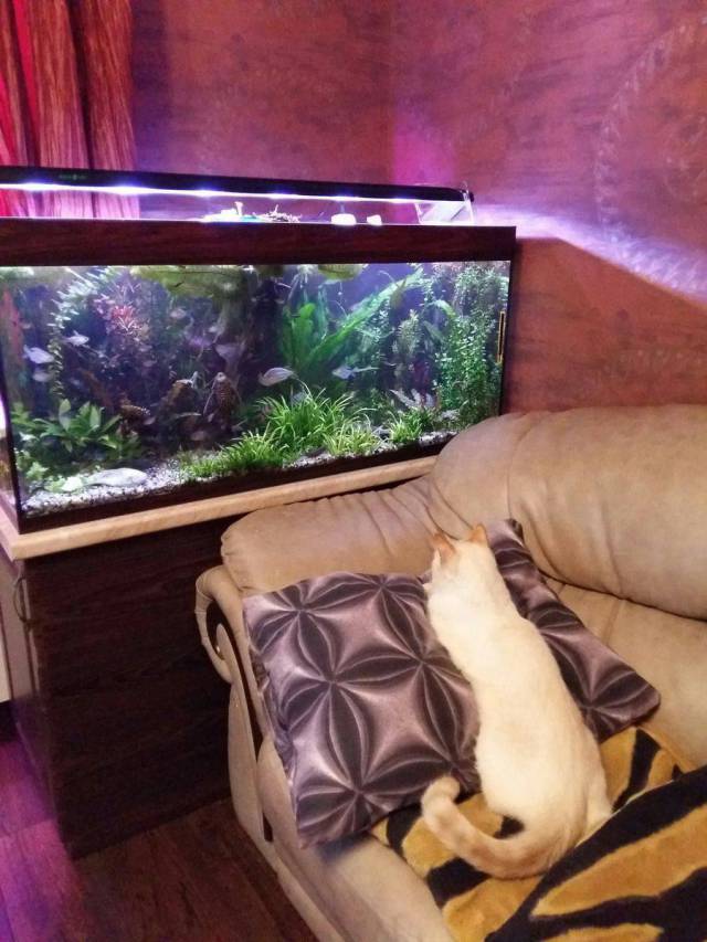 daily picdump 94 pics 39.html - 94 HD Photos | Premium Gallery 2018