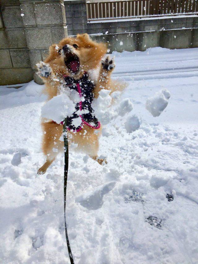daily picdump 94 pics 39.html - 94 HD Photos | Premium Gallery 2018