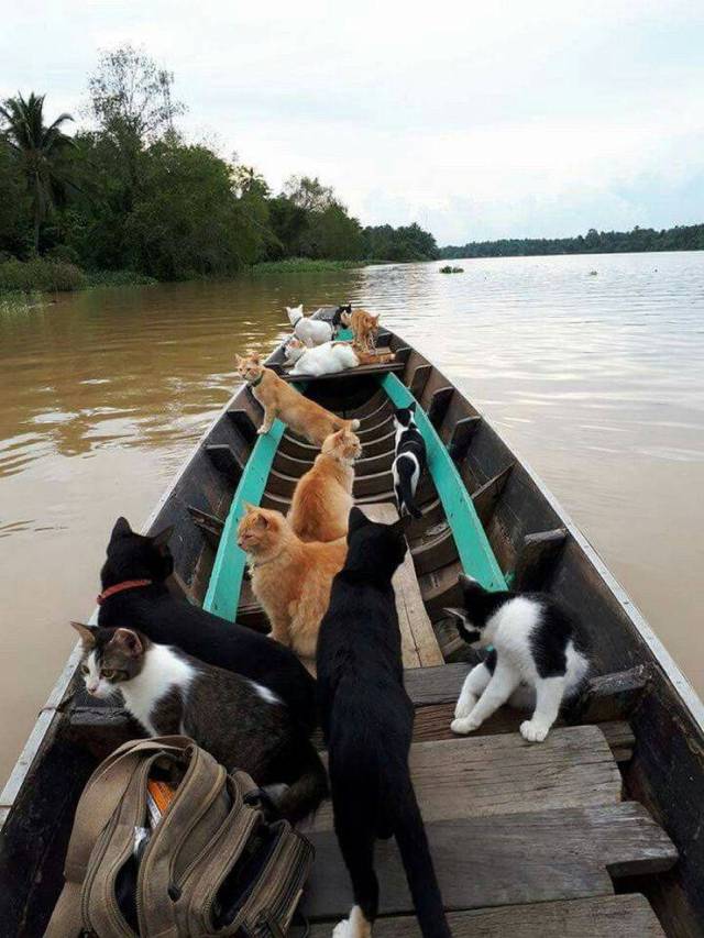 daily picdump 94 pics 39.html - 94 HD Photos | Premium Gallery 2018
