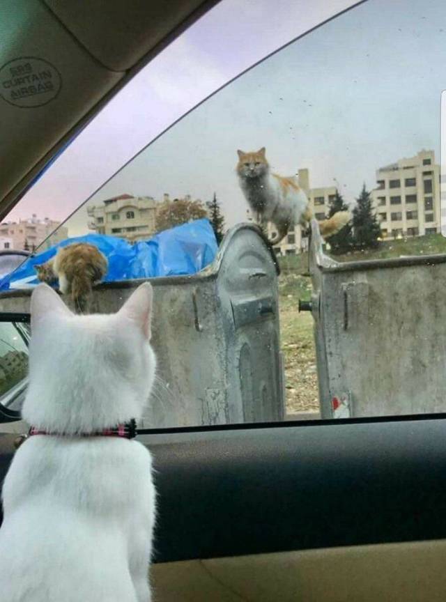 daily picdump 94 pics 39.html - 94 HD Photos | Premium Gallery 2018