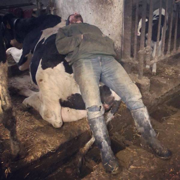 Morning Picdump
