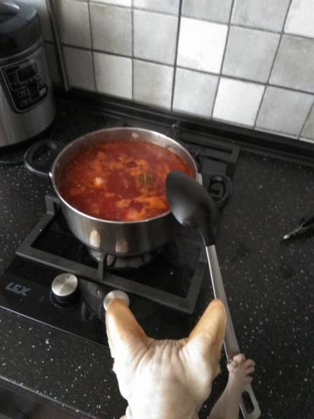 Morning Picdump