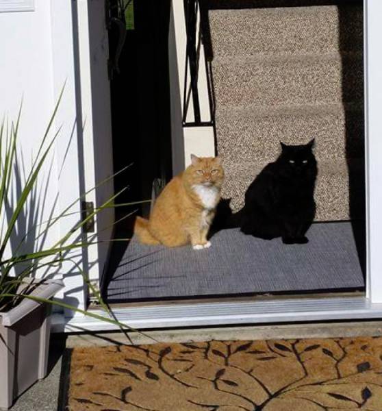 Morning Picdump