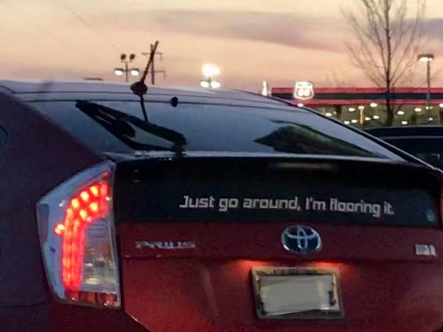 Morning Picdump