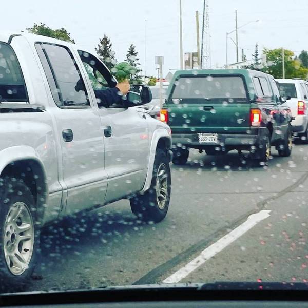 morning picdump 51 pics 3.html - 51 HD Photos | Premium Gallery 2018
