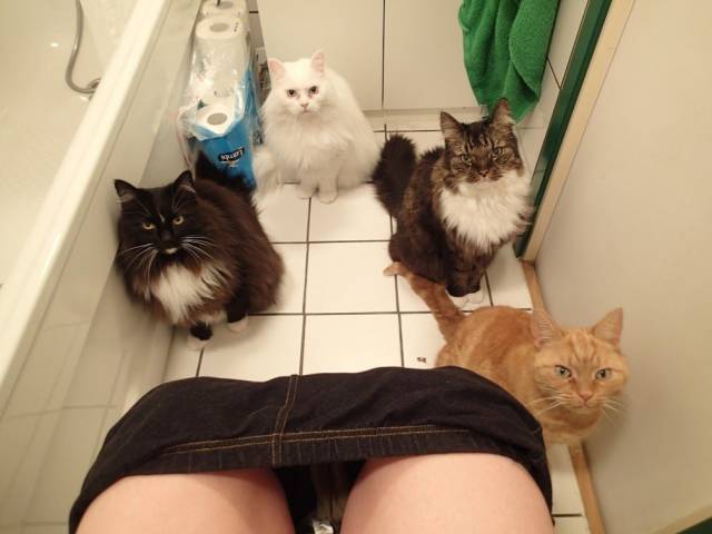 daily picdump 99 pics 22.html - 99 HD Photos | Premium Gallery 2018