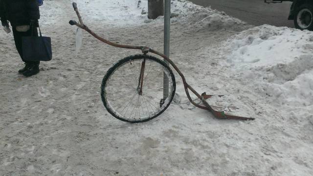 Daily Picdump