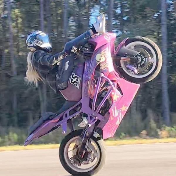 Daily Picdump