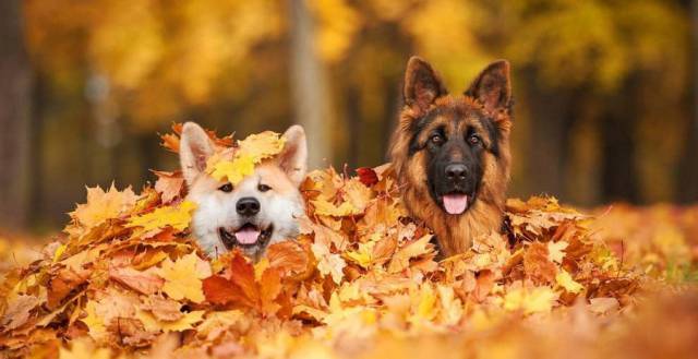 daily picdump 99 pics 22.html - 99 HD Photos | Premium Gallery 2018