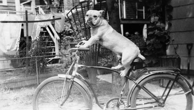 daily picdump 99 pics 22.html - 99 HD Photos | Premium Gallery 2018