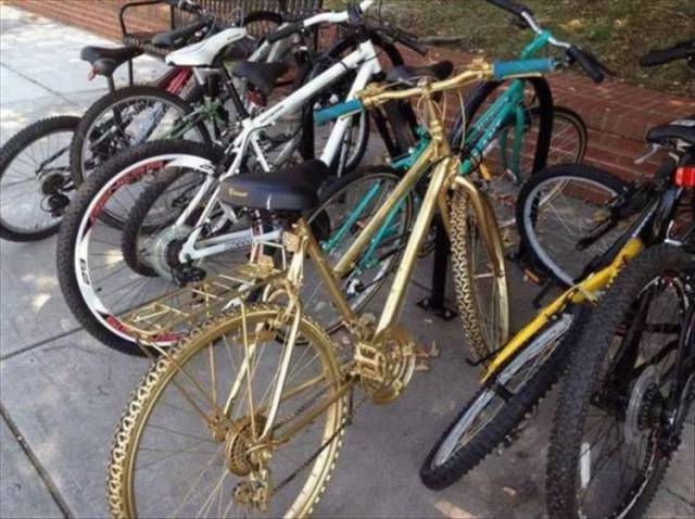 daily picdump 99 pics 22.html - 99 HD Photos | Premium Gallery 2018