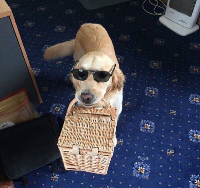 daily picdump 99 pics 22.html - 99 HD Photos | Premium Gallery 2018
