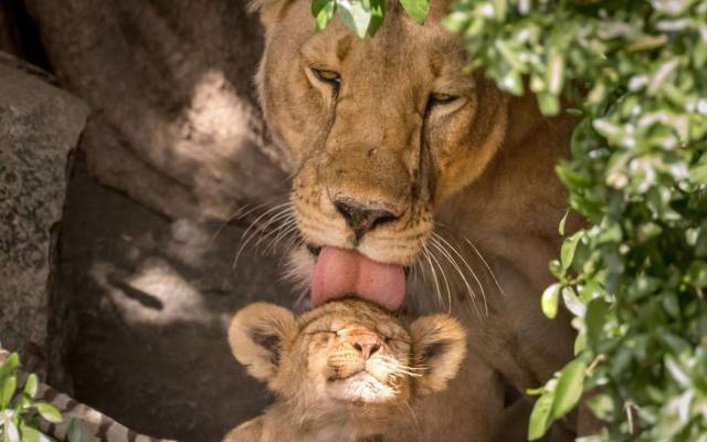 daily picdump 99 pics 22.html - 99 HD Photos | Premium Gallery 2018