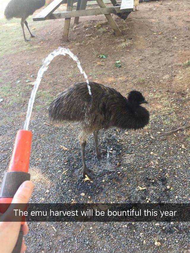 daily picdump 99 pics 22.html - 99 HD Photos | Premium Gallery 2018