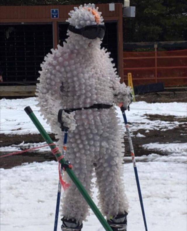 Daily Picdump