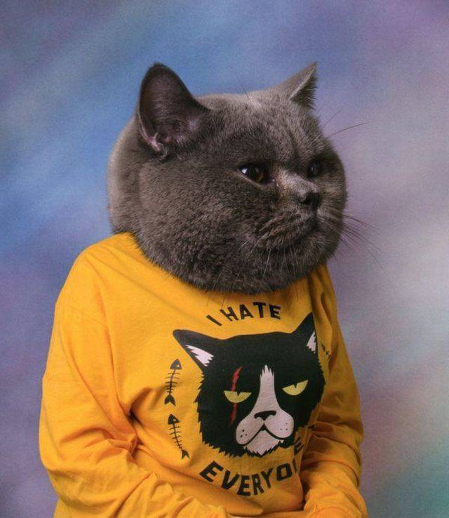 Daily Picdump