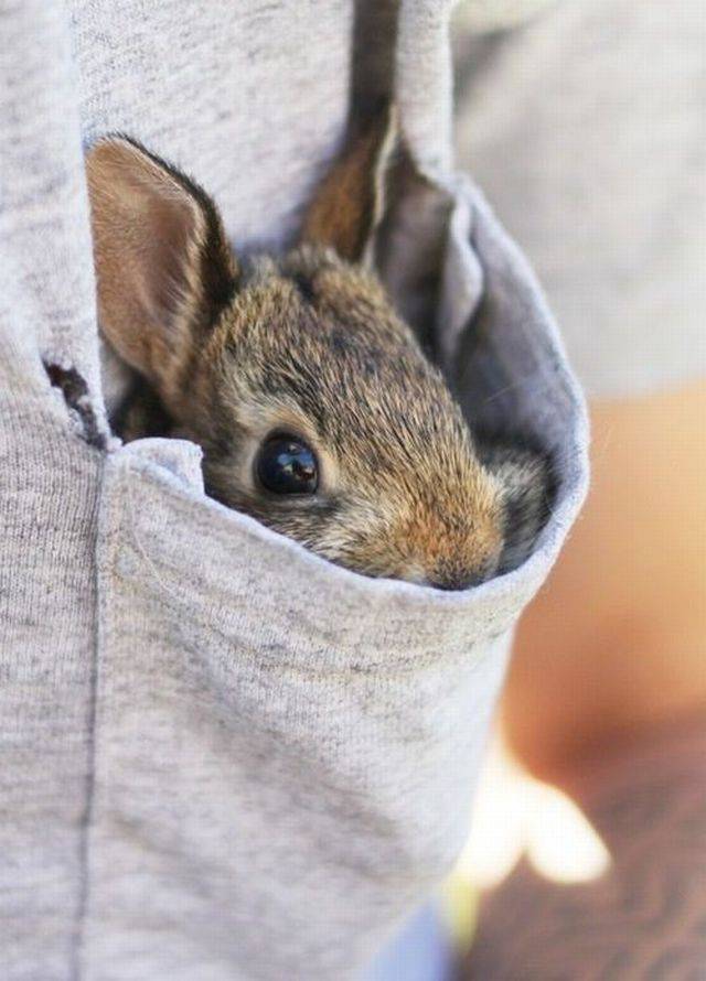 daily picdump 99 pics 22.html - 99 HD Photos | Premium Gallery 2018