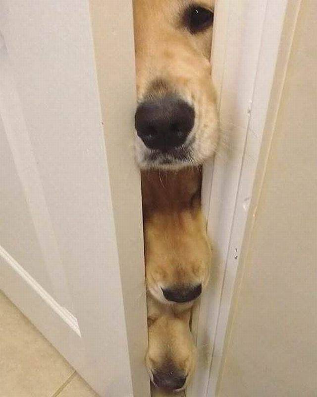 daily picdump 99 pics 22.html - 99 HD Photos | Premium Gallery 2018