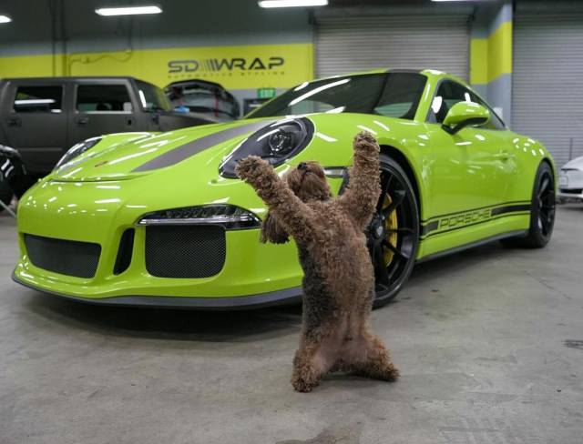 daily picdump weekend edition 67 pics 5.html - 67 HD Photos | Premium Gallery 2018