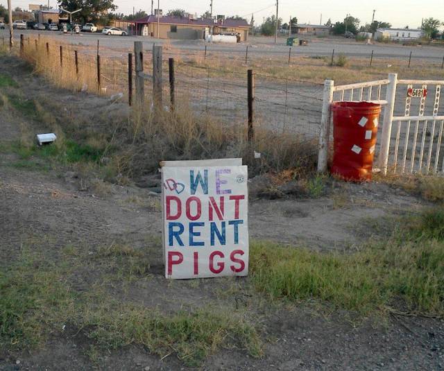 daily picdump weekend edition 67 pics 5.html - 67 HD Photos | Premium Gallery 2018