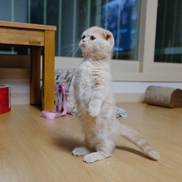 daily picdump weekend edition 67 pics 5.html - 67 HD Photos | Premium Gallery 2018