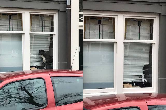 daily picdump weekend edition 67 pics 5.html - 67 HD Photos | Premium Gallery 2018