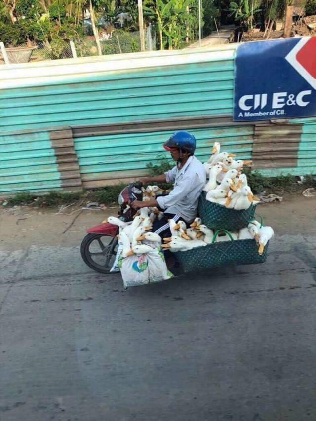 daily picdump weekend edition 67 pics 5.html - 67 HD Photos | Premium Gallery 2018