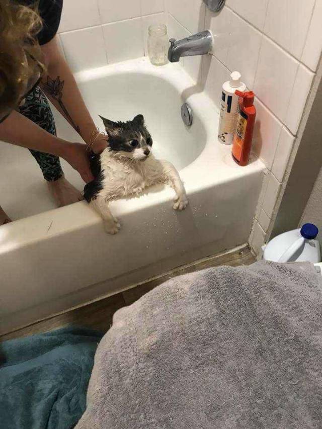 daily picdump weekend edition 67 pics 5.html - 67 HD Photos | Premium Gallery 2018