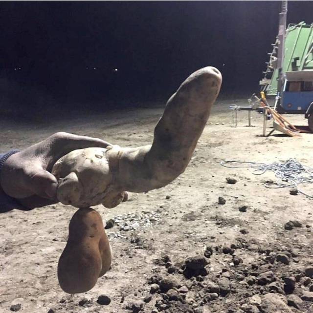 daily picdump weekend edition 67 pics 5.html - 67 HD Photos | Premium Gallery 2018