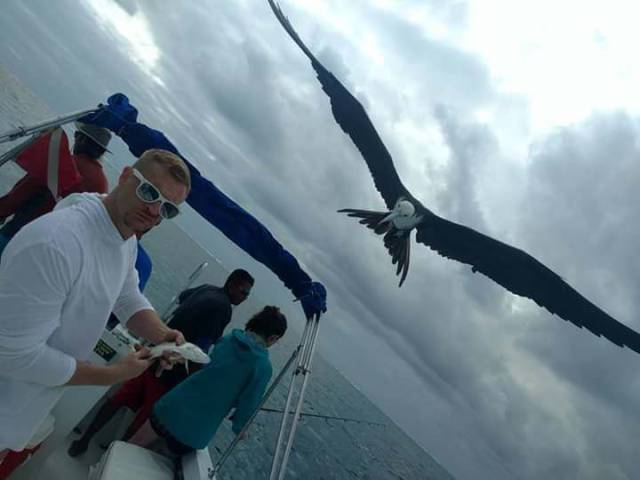 daily picdump 101 pics 37.html - 101 HD Photos | Premium Gallery 2018