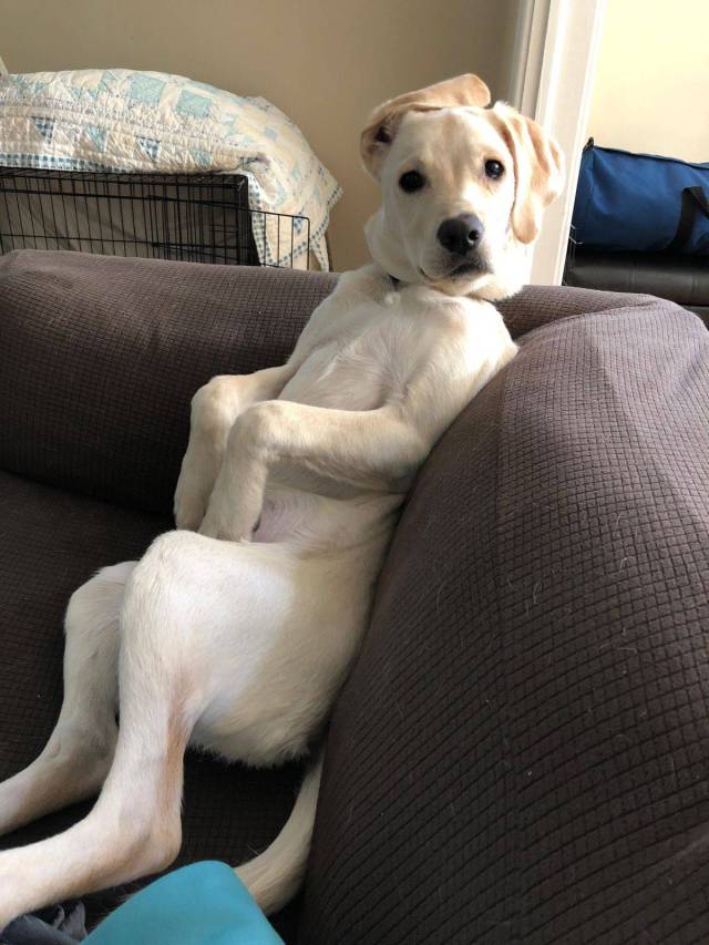 daily picdump 101 pics 37.html - 101 HD Photos | Premium Gallery 2018